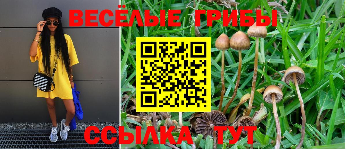 Галлюциногенные грибы MAGIC MUSHROOMS Жигулёвск