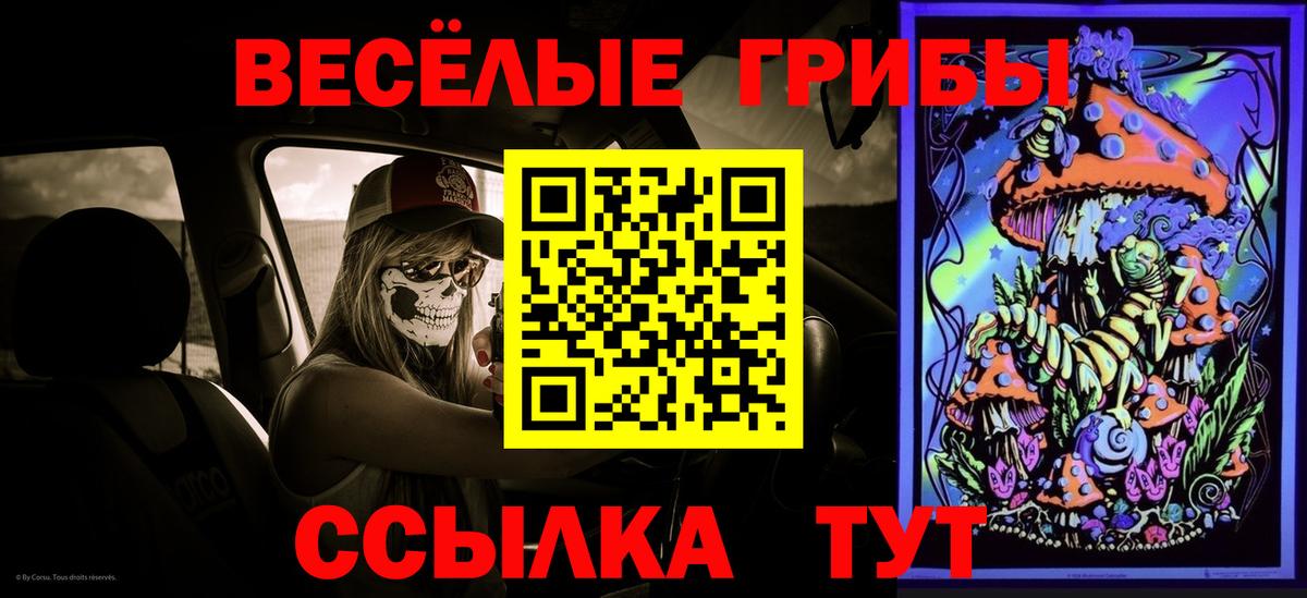 что такое   Вход с VPN  Жигулёвск  Галлюциногенные грибы Cubensis 